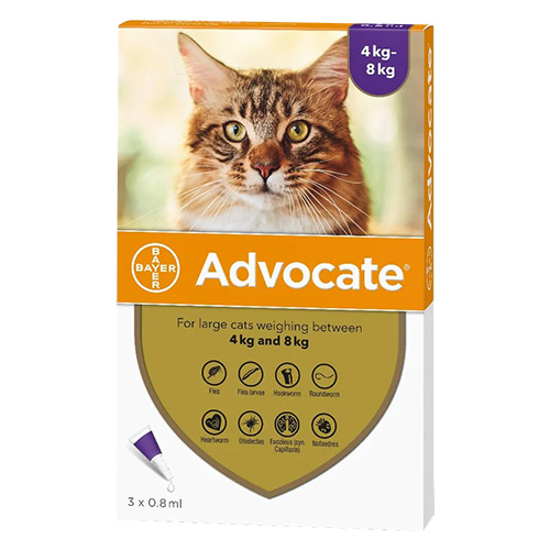 Advantage Multi (Advocate) Cats over 10lbs (Purple)