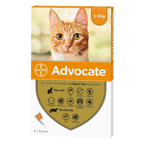 Advantage Multi (Advocate) for Cat