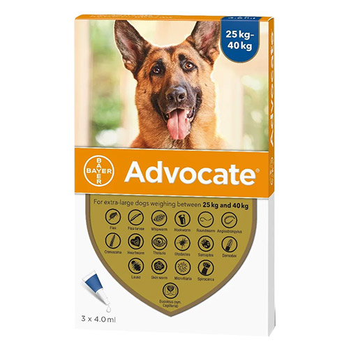 Advantage Multi (Advocate) Extra Large Dogs 55.1-88 lbs (Blue)