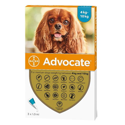 Advantage Multi (Advocate) Medium Dogs 9.1-20 lbs (Aqua)