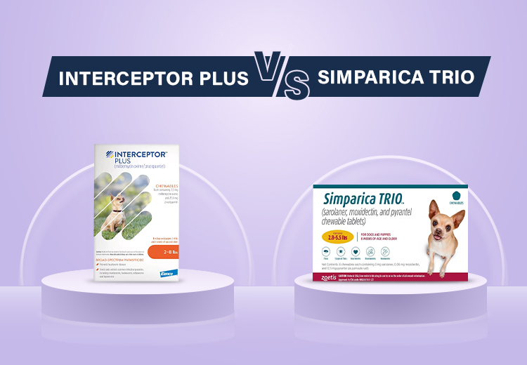 Interceptor Plus Vs Simparica Trio